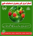 380833539_708850924603869_3196455868881681022_n