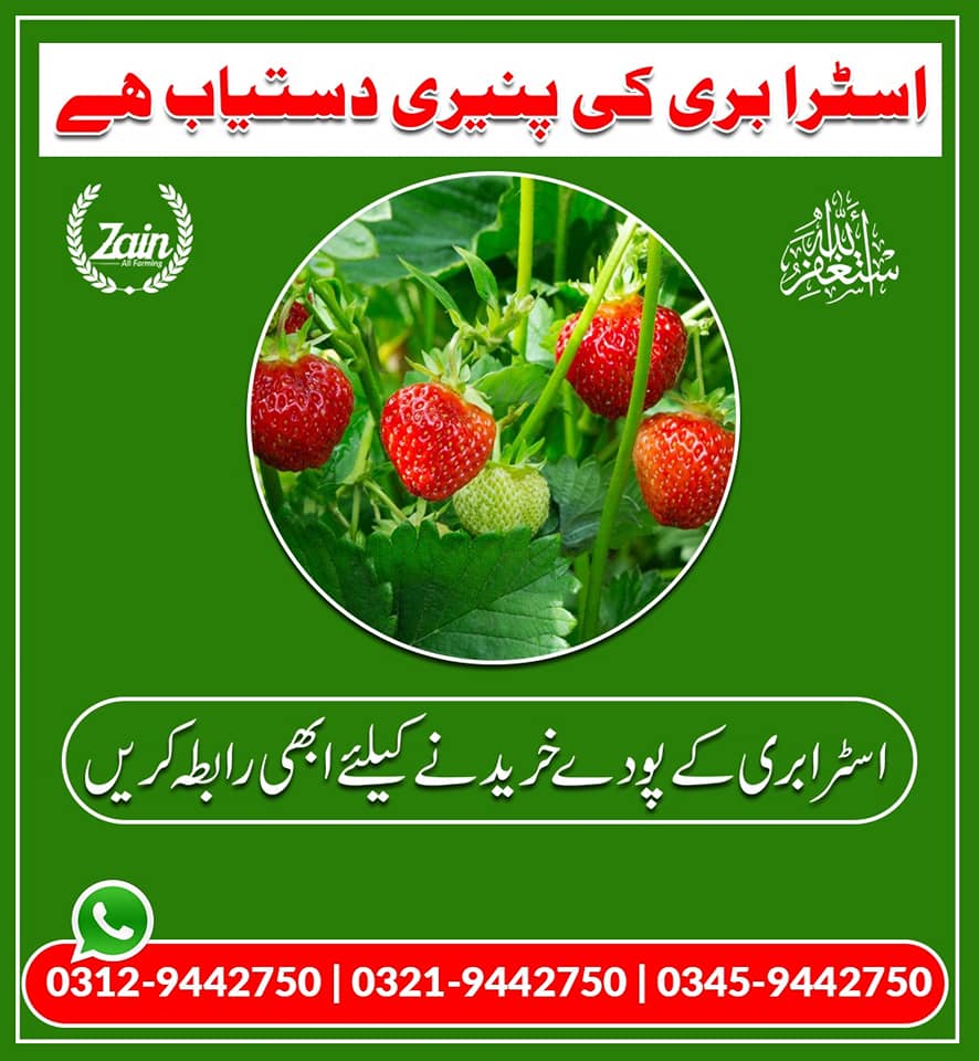 246940509_4463892050363637_3403359528551433356_n